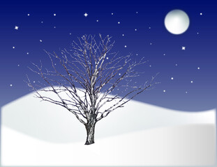 Winter scene at night with tree and snow