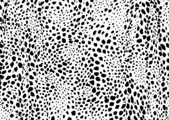 Cheetah spots pattern design. Vector illustration background. Wildlife fur skin design illustration. © leavector