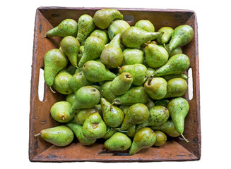 New harvest: wooden box with green pears on a white background