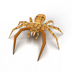 spider on a white background