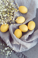 Colored yellow eggs on easter, decorated gypsophila flowers on gray cloth background