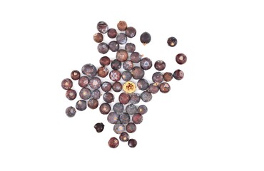 Dried juniper berries scattered on white background. One of them is halved. Top view.
