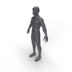 man mannequin on a white background