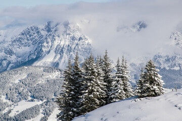 Fototapeta na wymiar The Austrian Alps in winter near Kitzbuhel. Behind the snow covered fir trees the fog rises revealing the magnificent mountain peaks.