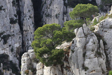 Calanques de Cassis