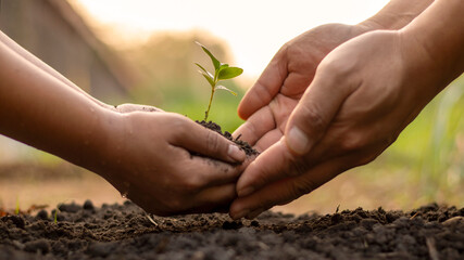 Children and adults work together to plant small trees in the garden, planting ideas to reduce air pollution or PM2.5 and reduce global warming.