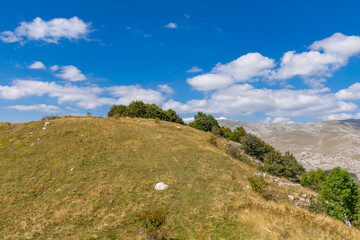 landscape with blue sky