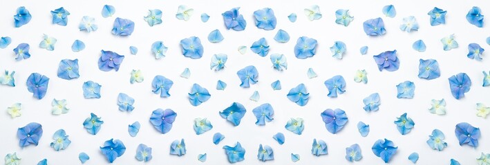 Flowers composition. Blue flowers hydrangea on white background. Creative floral background. Blue flowers pattern. Top view, flat lay