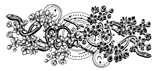 Vector illustration, snake on sakura branch,Handmade, tattoo, white background, print on t-shirt