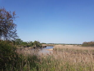 Paysages du Bassin d'Arcachon