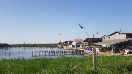 Paysages du Bassin d'Arcachon