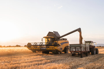 a combine and a tractor collect the ripe wheat. agricultural cereal field © Javier