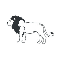 African lion isolated on white. Vector illustration.