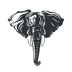 African elephant isolated on white. Vector illustration.