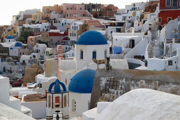 Oia - Santorini Island, Greece, Europe