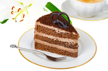 Plate with portion of delicious homemade cake decorated with chocolate on white background. Studio Photo