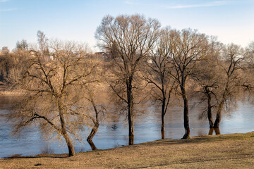 river landscape in early spring