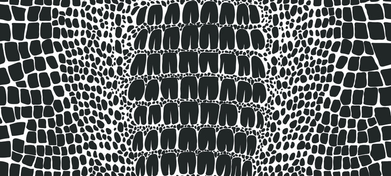 Crocodile   skin seamless pattern. Vector illustration.