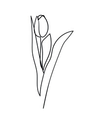 Tulip flower icon. Continuous one line drawing. - Vector illustration