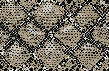 Snake skin seamless pattern. Vector illustration.