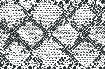 Snake skin seamless pattern. Vector illustration.