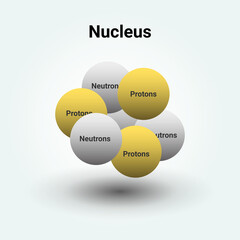 The nucleus of an atom showing protons and neutrons. vector illustration science diagram positive charges in atomic nuclei.
