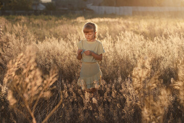 Naklejka na ściany i meble Little beautiful happy girl in a field bathed in sun at sunset.