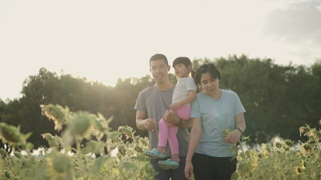 4k Video slow-motion, An Asian father and mother took their daughter to the sunflower field happily. During the sunset. Family concept.
