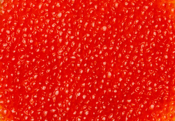 Red caviar background texture close-up copy space