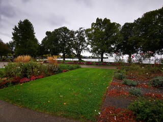 Fototapeta premium In der NAtur am Bodensee
