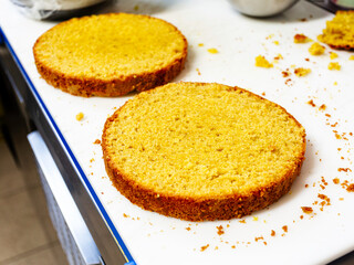 Homemade round sponge cake or chiffon cake