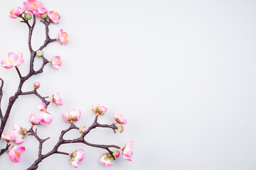 Chinese New Year design with cherry blossom and red lanterns on light grey background