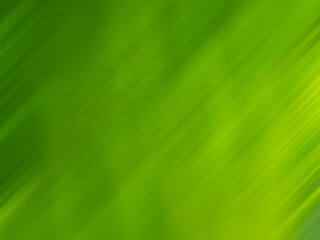 Abstract green leaf blur texture and background.