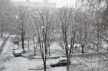 Heavy snow falls on trees and cars
