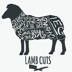 Lamb cuts butchery diagram. Vector illustration.