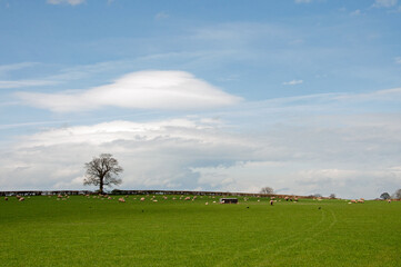 Lenticular clouds over the landscape.