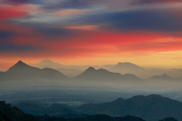 A view of tea plantations filled with mist in the highlands of Ella, Sri Lanka.