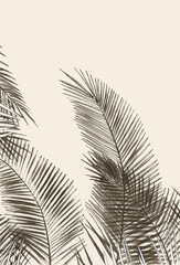beżowe liście palm