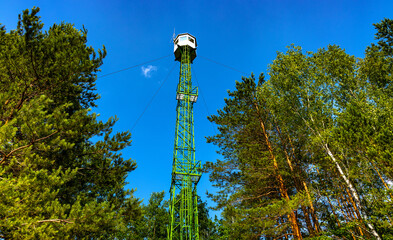 Nature observatory tower in mixed European forest thicket of Puszcza Kampinoska Forest in Izabelin...