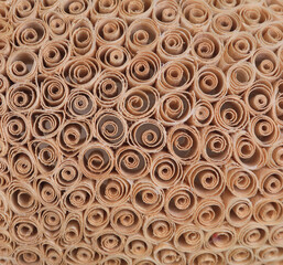 decorative background of wood shavings