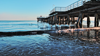 pier on the beach © Grzegorz