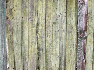 Old light green fence with peeling paint. The texture of rotten wood with scuffs.
