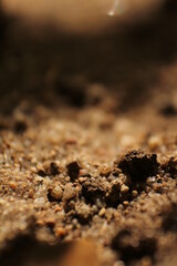 Earth Soil