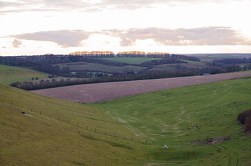 looking down a long English valley with fields green grass, red soil and purple winter woodland...
