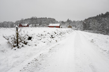 An icy and snowy winter road going through a meadow and forest landscape. Picture from Scania, southern Sweden