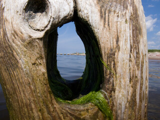An old wooden breakwater full of holes.