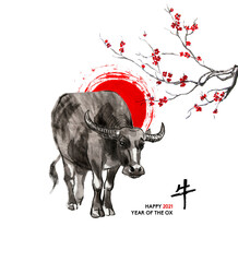 Water buffalo, a sun disk and a branch of cherry blossom, oriental ink wash painting, sumi-e. Hand painted greeting card Eastern new year. With Chinese hieroglyph `Ox` and text. - 411579162