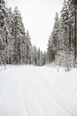 Obraz premium Snowy winter wonderland forest road in Sweden