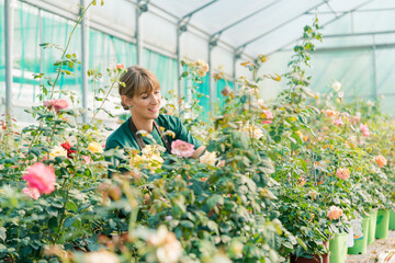Fototapeta na wymiar Commercial gardener woman working in the roses