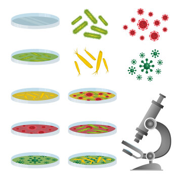 Science petri dish microscope and virus with germs set concept vector